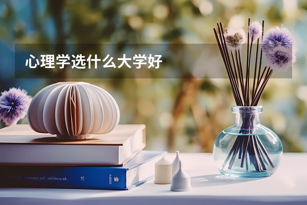 心理学选什么大学好