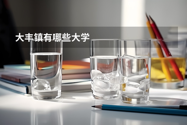 大丰镇有哪些大学