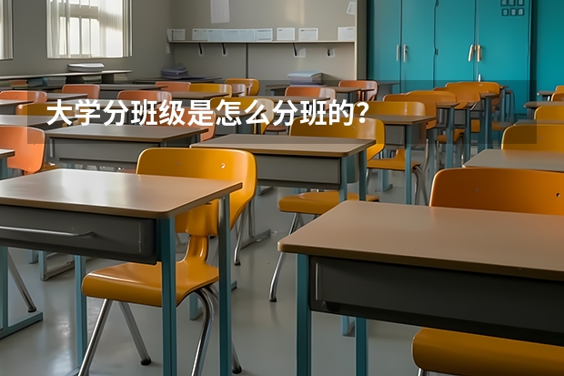 大学分班级是怎么分班的？