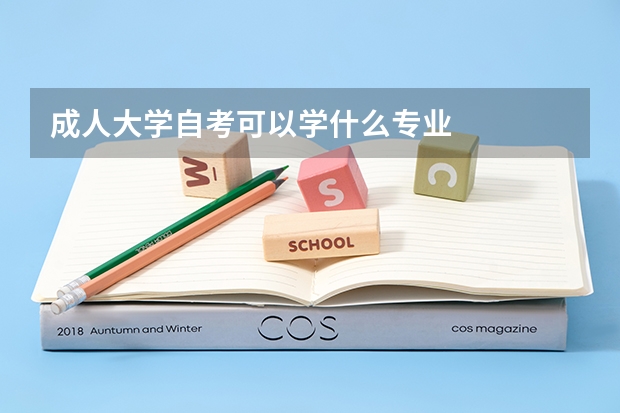 成人大学自考可以学什么专业