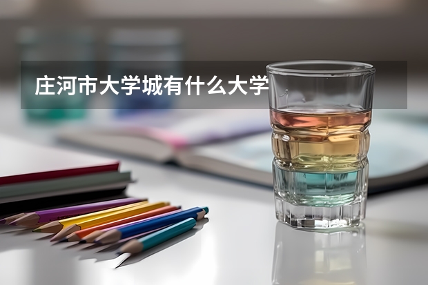 庄河市大学城有什么大学