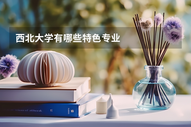 西北大学有哪些特色专业