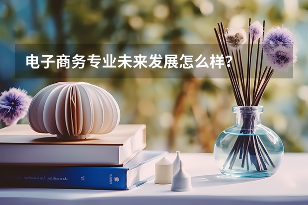 电子商务专业未来发展怎么样？
