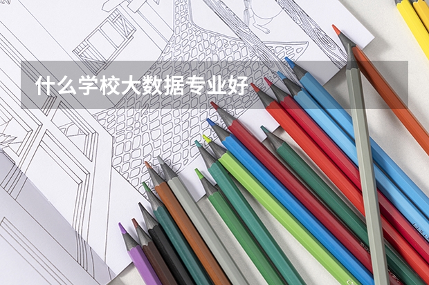 什么学校大数据专业好
