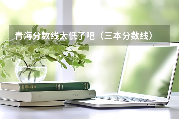 青海分数线太低了吧（三本分数线）