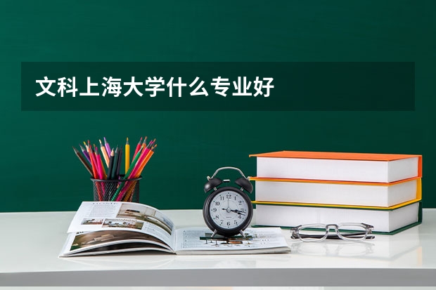 文科上海大学什么专业好