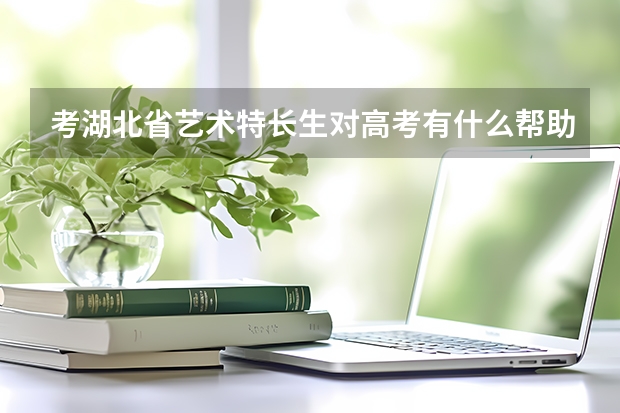 考湖北省艺术特长生对高考有什么帮助？（不是艺考）