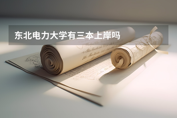 东北电力大学有三本上岸吗