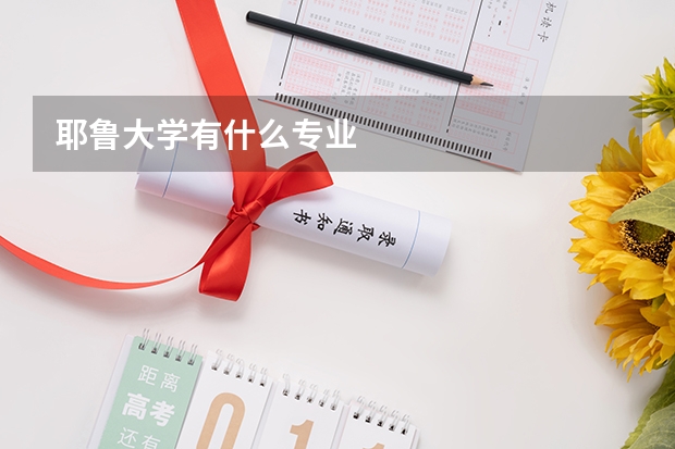 耶鲁大学有什么专业