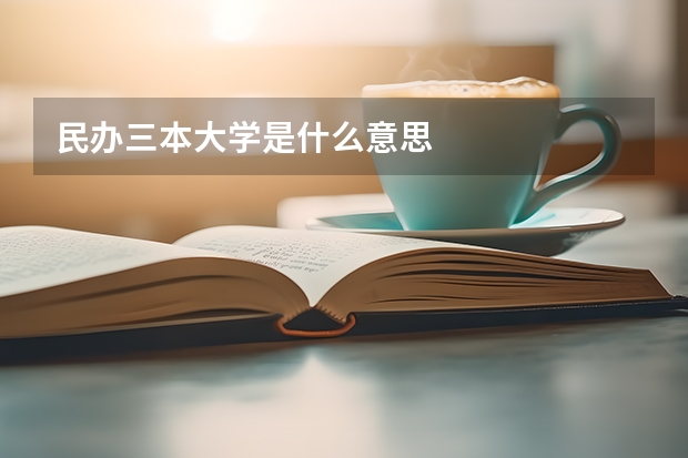 民办三本大学是什么意思