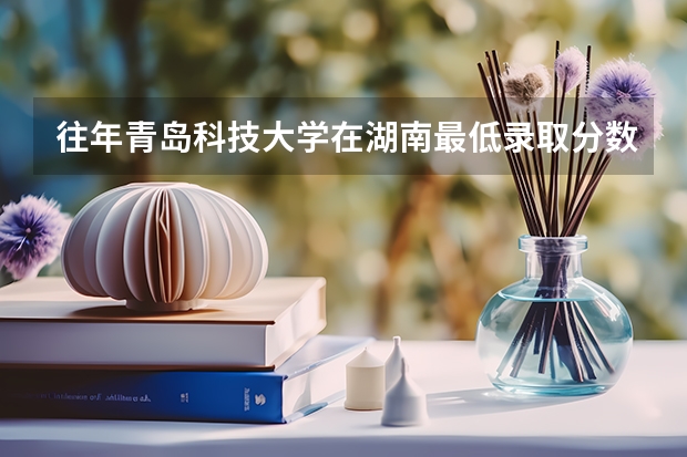 往年青岛科技大学在湖南最低录取分数参考