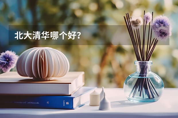 北大清华哪个好？