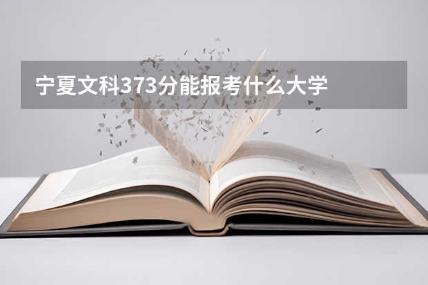 宁夏文科373分能报考什么大学