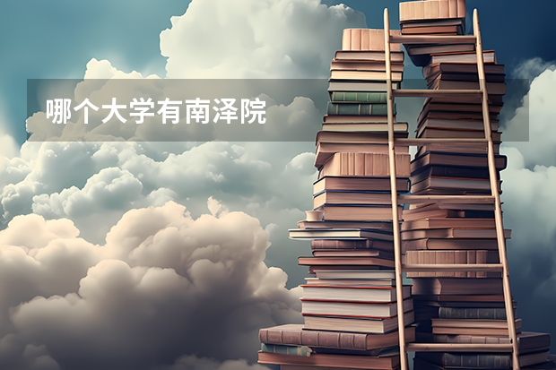 哪个大学有南泽院