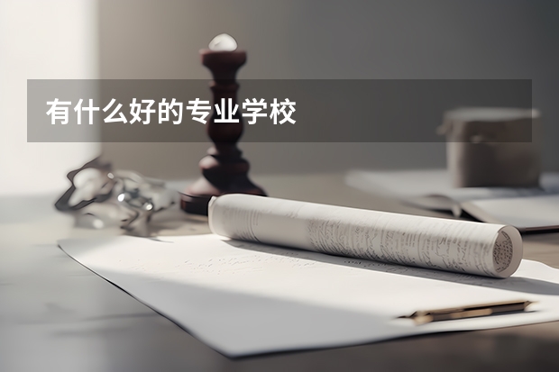 有什么好的专业学校