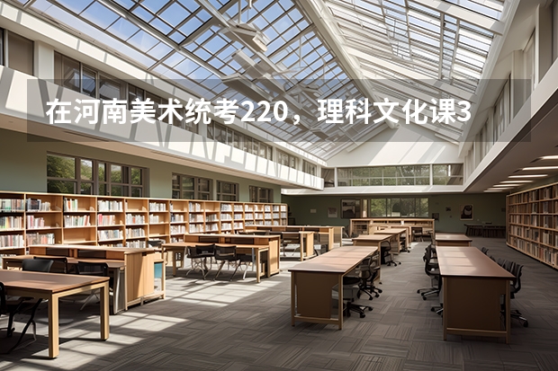 在河南美术统考220，理科文化课350能上什么大学