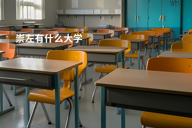 崇左有什么大学