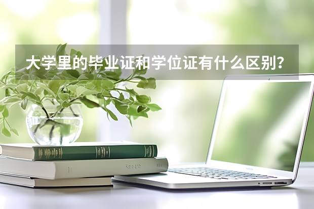 大学里的毕业证和学位证有什么区别？