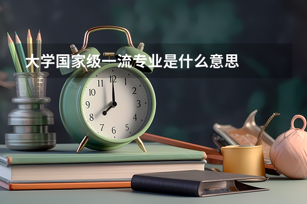 大学国家级一流专业是什么意思