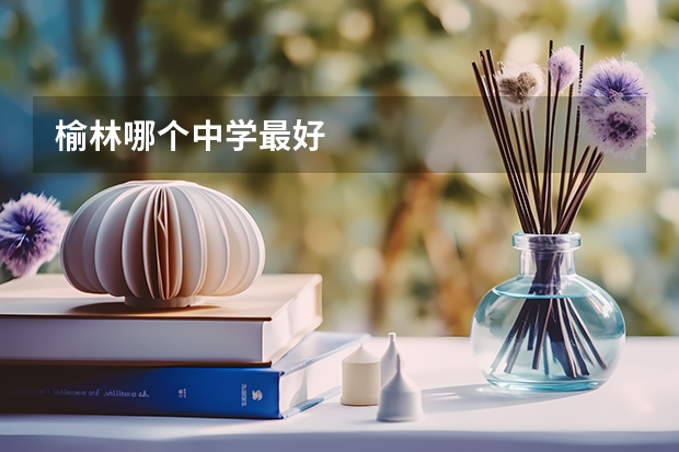 榆林哪个中学最好