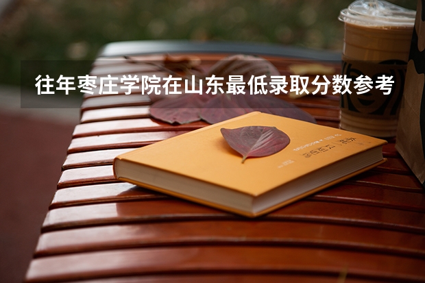 往年枣庄学院在山东最低录取分数参考