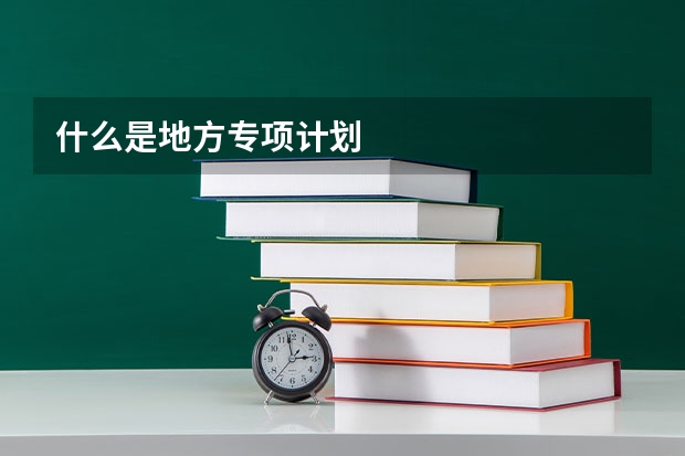 什么是地方专项计划