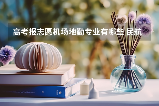 高考报志愿机场地勤专业有哪些 民航运输专业学什么 毕业后能干什么
