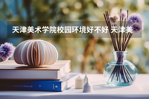 天津美术学院校园环境好不好 天津美术学院学费贵不贵