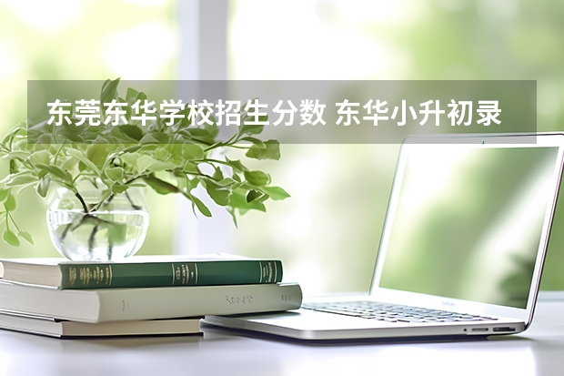 东莞东华学校招生分数 东华小升初录取分数线