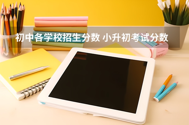 初中各学校招生分数 小升初考试分数线是多少？