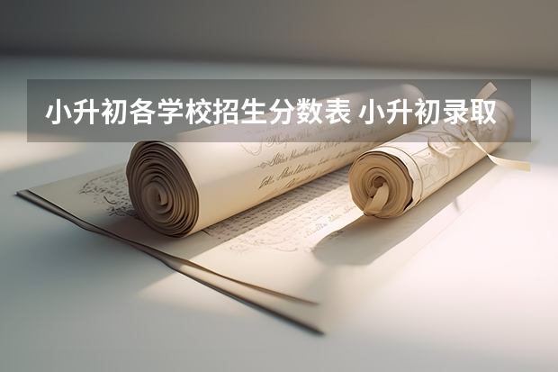 小升初各学校招生分数表 小升初录取分数线多少分？