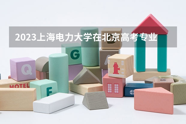 2023上海电力大学在北京高考专业招了多少人