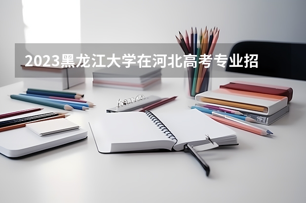 2023黑龙江大学在河北高考专业招了多少人