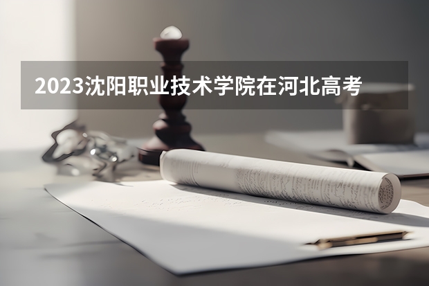2023沈阳职业技术学院在河北高考专业招了多少人