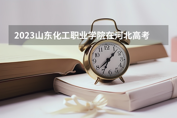 2023山东化工职业学院在河北高考专业招了多少人