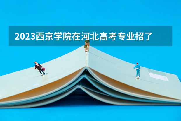 2023西京学院在河北高考专业招了多少人