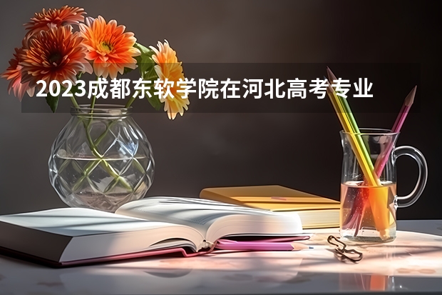 2023成都东软学院在河北高考专业招了多少人