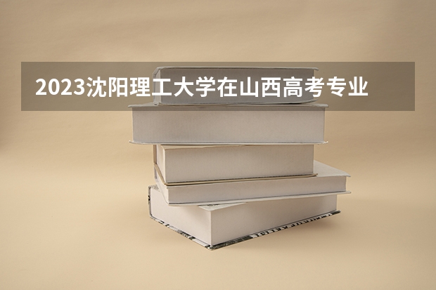 2023沈阳理工大学在山西高考专业招了多少人