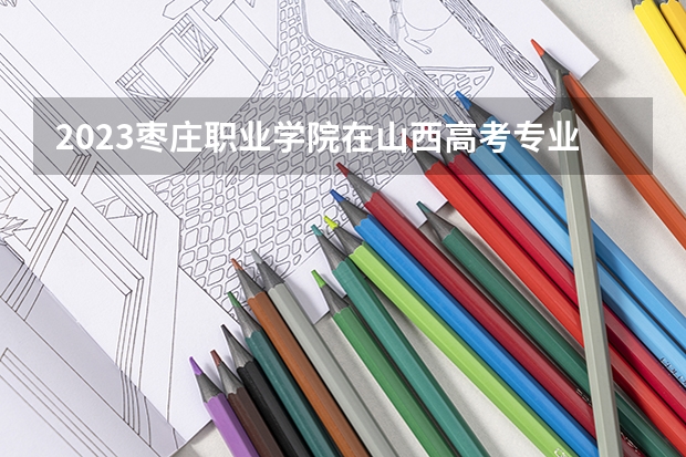 2023枣庄职业学院在山西高考专业招了多少人