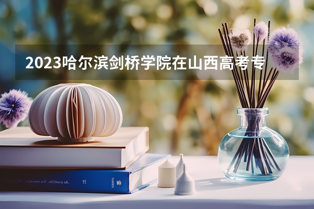 2023哈尔滨剑桥学院在山西高考专业招了多少人