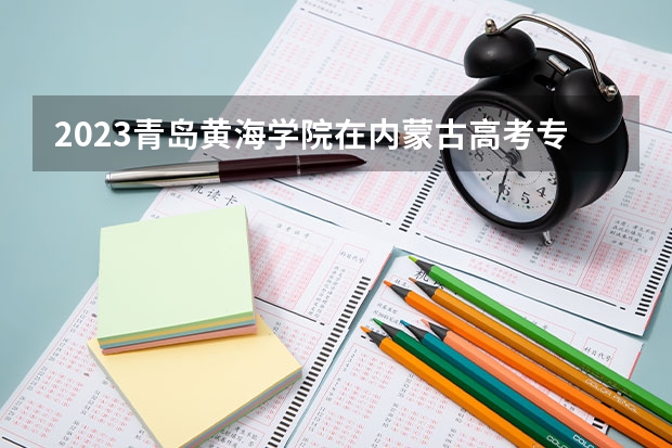 2023青岛黄海学院在内蒙古高考专业招了多少人