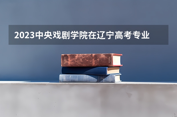 2023中央戏剧学院在辽宁高考专业招了多少人