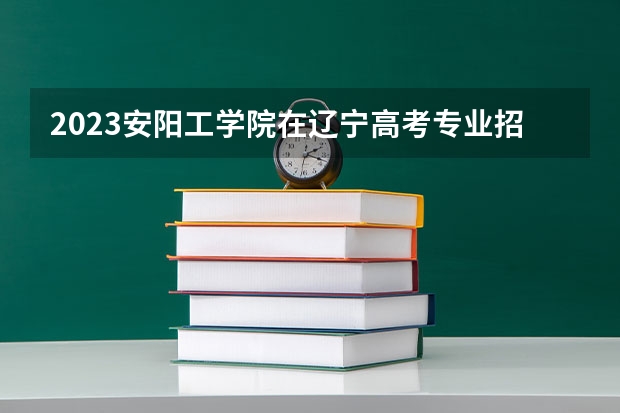 2023安阳工学院在辽宁高考专业招了多少人