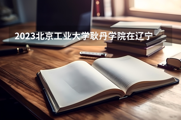 2023北京工业大学耿丹学院在辽宁高考专业招了多少人