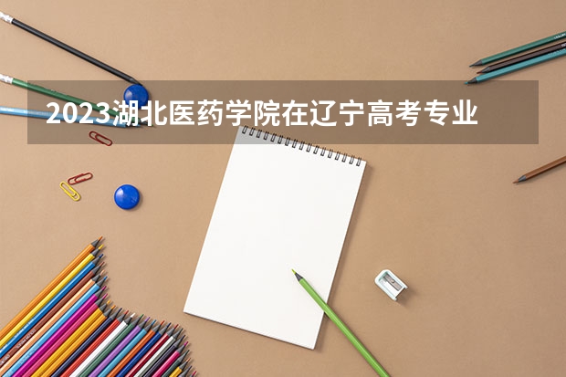 2023湖北医药学院在辽宁高考专业招了多少人
