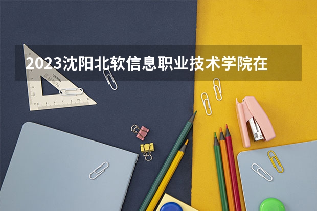2023沈阳北软信息职业技术学院在辽宁高考专业招了多少人
