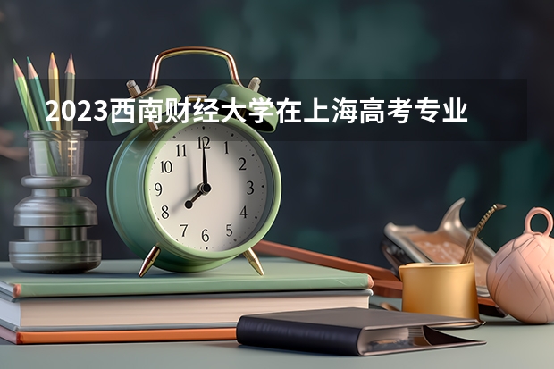 2023西南财经大学在上海高考专业招了多少人