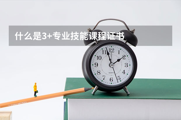 什么是3+专业技能课程证书