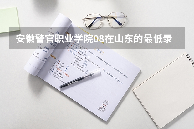 安徽警官职业学院08在山东的最低录取分是多少