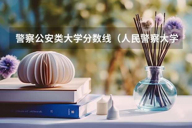 警察公安类大学分数线（人民警察大学录取分数线）